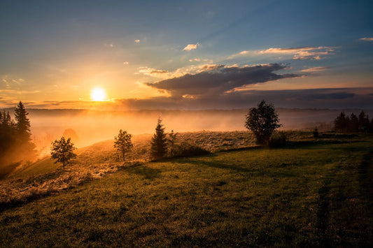 The Silence Routine: How I Really Start My Day